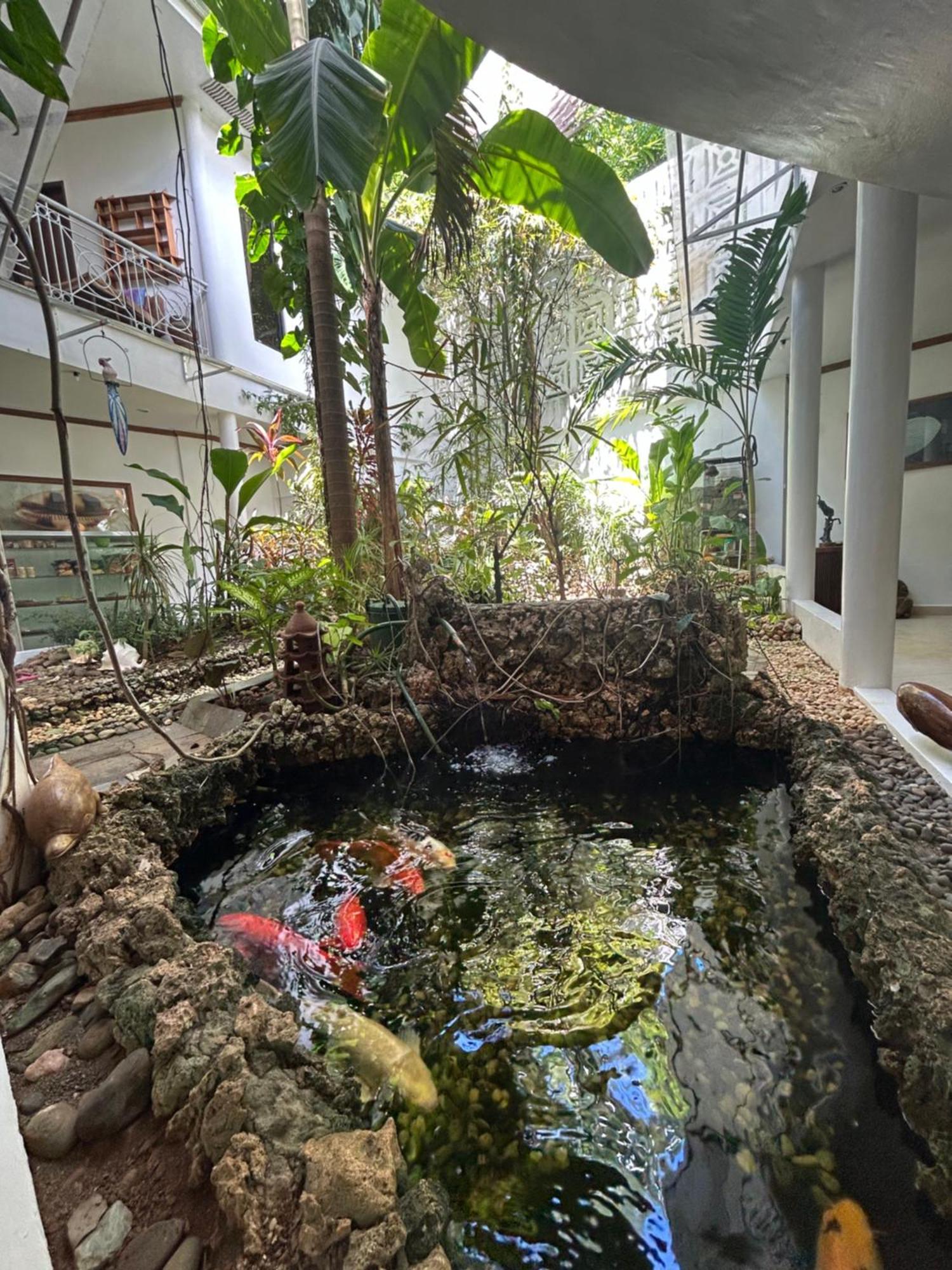 Argonauta Boracay Apartment Suites And Villas Boracay Island Buitenkant foto
